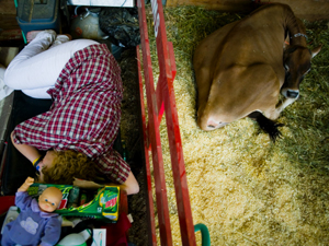 
The fairgrounds boast 160 acres of campgrounds. Still, it's hard to pull many farmers away from the animal barns. The majority of dairy farmers prefer to sleep right next to their cattle. (Tom Moore Images)