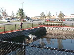 
Dan Huff of the Friends of the Mississippi River says shopping center ponds like this one in St. Anthony Village do a poor job of treating stormwater. (MPR photo/Dan Olson)