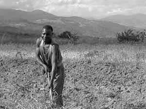 
The vast majority of Malawi's population lives as subsistence farmers. (Photo: Jonah Eller-Isaacs)