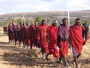 
This photo by Chacalito, staff member at Aang Serian, shows Maasai warriors in line before circling to begin their chanting. (Photo: Chacalito)
