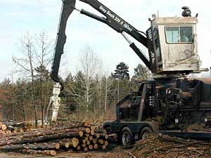 
The Roadless rule limits logging, mining and motor vehicles in the designated areas. (MPR file photo)