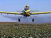 Go to Clouds of Doubt: Questions about enforcement of pesticide laws